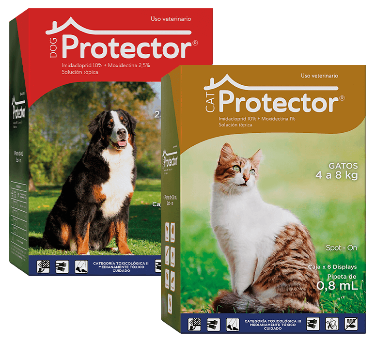 protector-dog-protector-cat